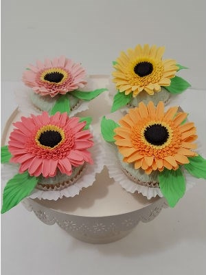 Gerberas